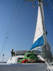 Rod on the Catamaran