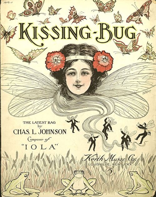 kissing bug. kissing bug.