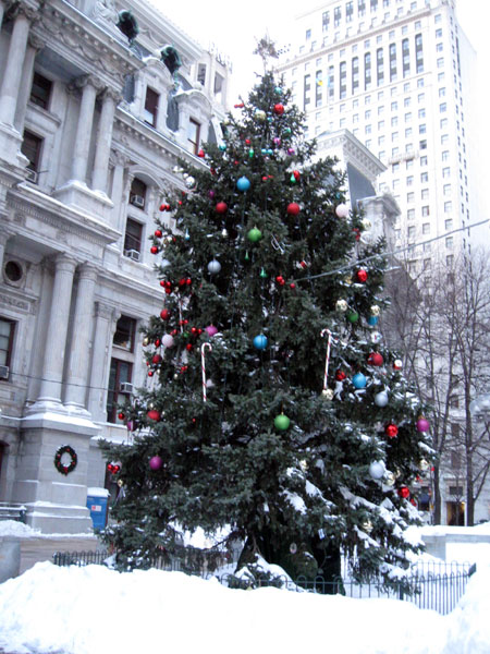 City Hall Christmas Tree (Click to enlarge)