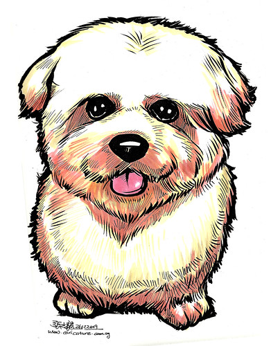Dog caricature in colour A4