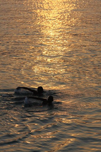 Synchronized Swimming at Sunset