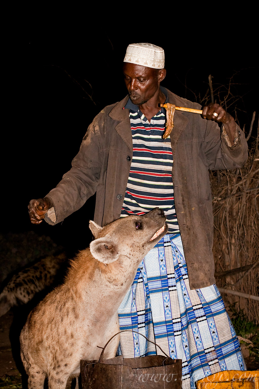 Hyena Feeding #1, Harar, Ethiopia, 2009