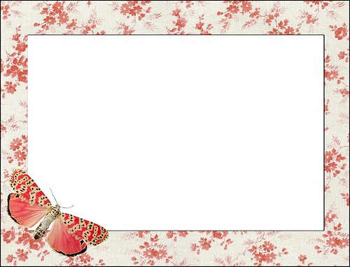 Floral/Butterfly Frame