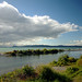 Waitahanui River Banks, Lake Taupo / New Zealand