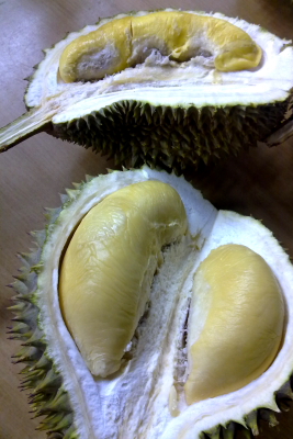 D24 (front) and Cat Mountain King (back) durians