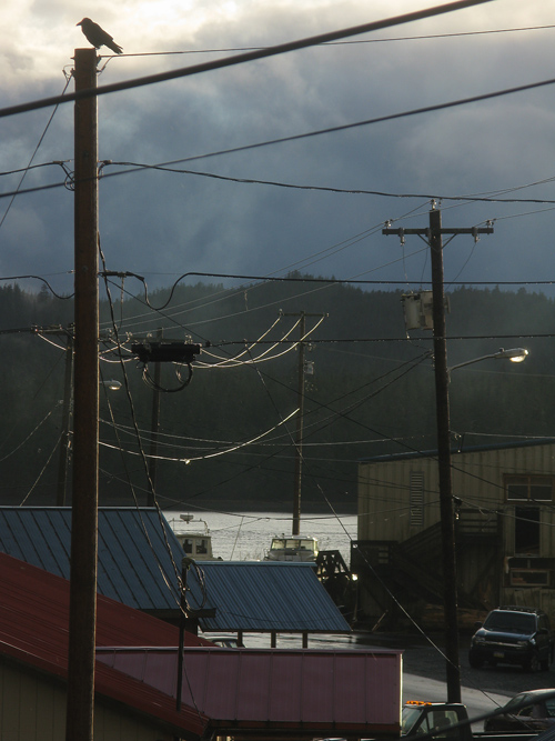 Hydaburg scene with raven, Alaska