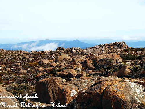 Mt Wellington: Panoramic VIew