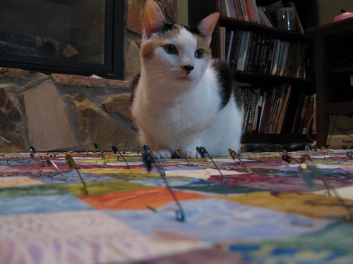 Emily, helping me pinbaste a quilt