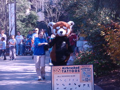red panda mascot