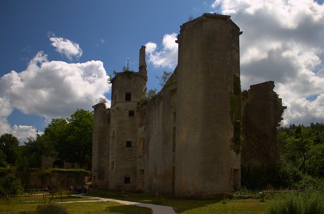 Château de Rochefort sur Armançon (Coté jardin)