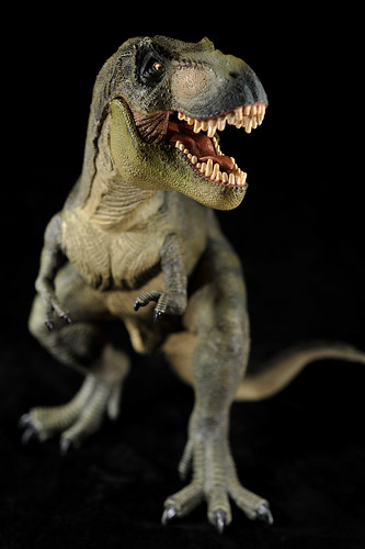 Papo - Tyrannosaurus rex (12)