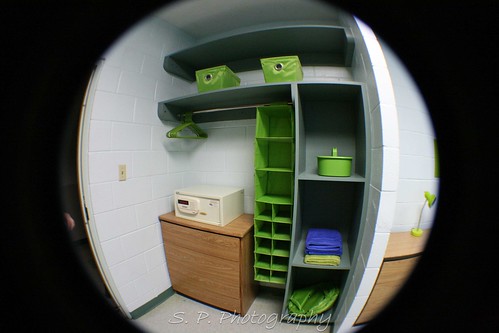 Lime Green room