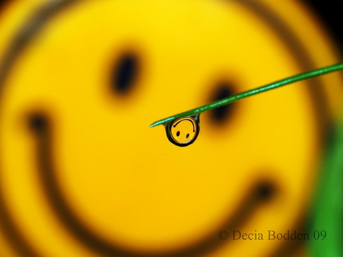 Gotita feliz/Happy drop~EXPLORER~ by Decia Bodden
