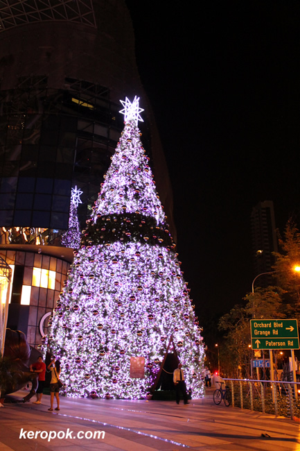ION Christmas Tree