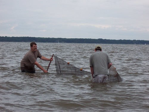 Using seine nets to capture animals that reveal the health of the waterway - Virginia State Parks