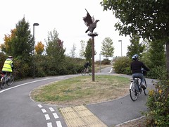 Cycle roundabout
