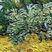 2008_0921_190306AA MM Van Gogh-- by Hans Ollermann