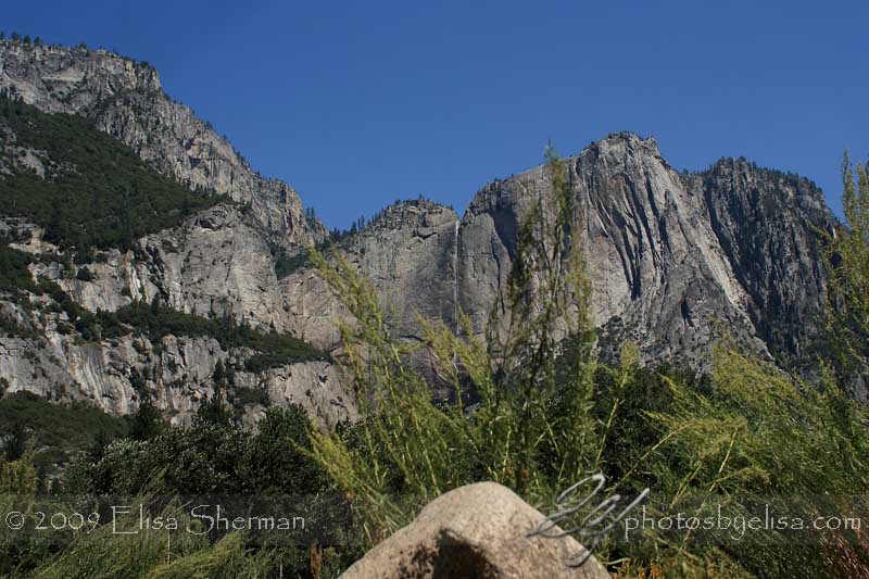 Yosemite by Elisa Sherman
