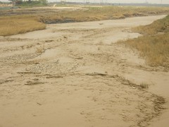 Mud river_03