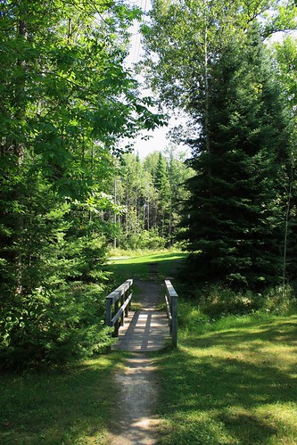Path at Dorothy Lake Campground