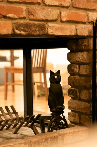 Fireplace Kitty
