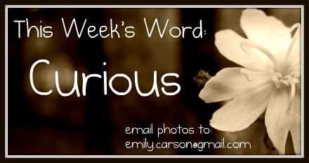 This Week's Word, Curious
