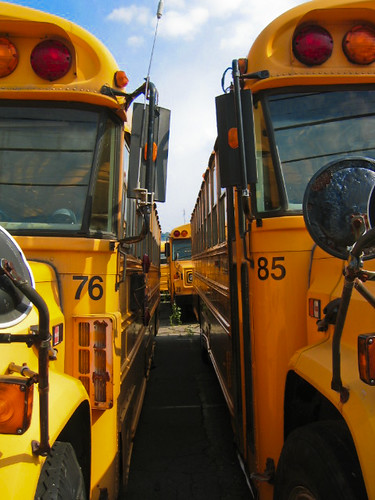 School Buses by John Williams, Ph.D.