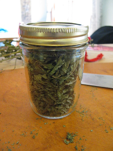 homegrown mint tea awaits us in winter