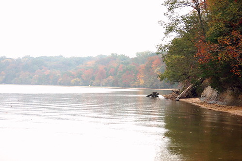 Westmoreland State Park shoreline in the early morning mist