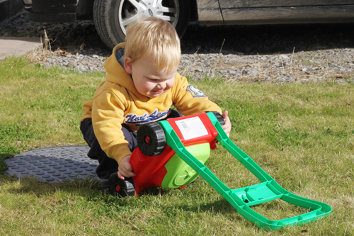Lawnmower (6) cropped