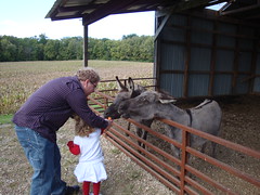 Dad & Lilliann Feeding A Donkey
