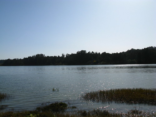 Bolinas Lagoon
