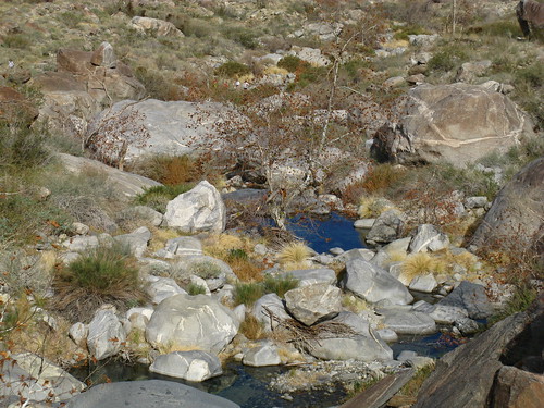 Tahquitz Canyon