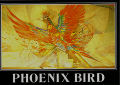 Famous Az. Artwork "The Phx. Bird"