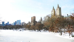 Central park in snow3