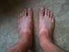Zebra feet