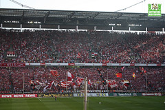 1. FC Köln, 1. FSV Mainz 05, Youssef Mohamad, Andre Schürrle, Thomas Tuchel, Martin Lanig, Lukas Podolski