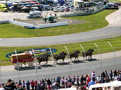 BudClydesdales_92009