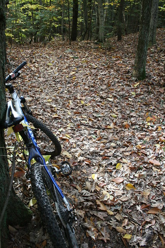 Bike on Fall Trail