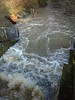Overflow in Tonbridge Haysden