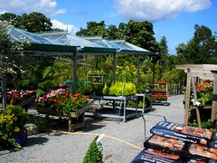Garden Centre in Kilternan