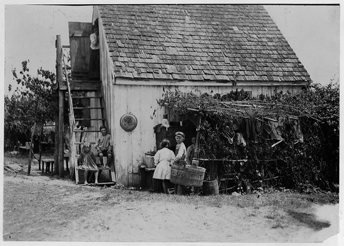 Three Families in a Shack in Maryland