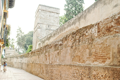Alcazar Wall