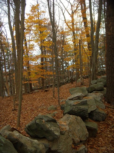 connecticut Stone Wall