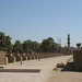 Temple of Luxor (104) by Prof. Mortel