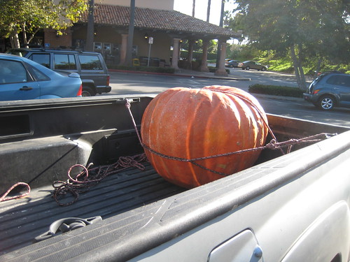 huge pumpkin