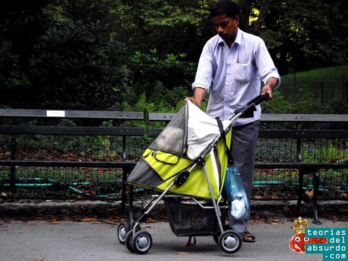 Hombre pakistaní paseando a un perro dentro de un carrito de bebé en central park