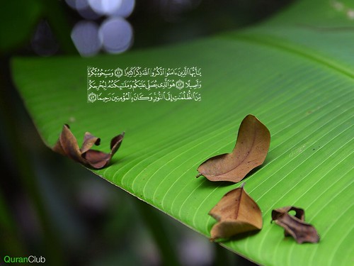 Banana Leaf Islamic Wallpaper, by QuranClub.net