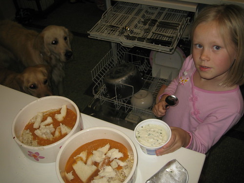 Christy organising the dogs dinner