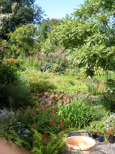 view up the garden from the pnd